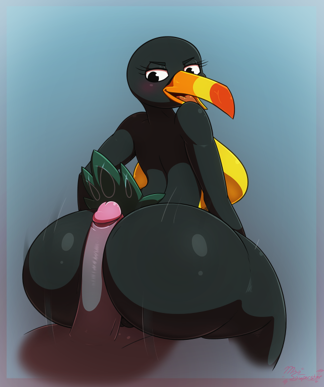 lupe toucan