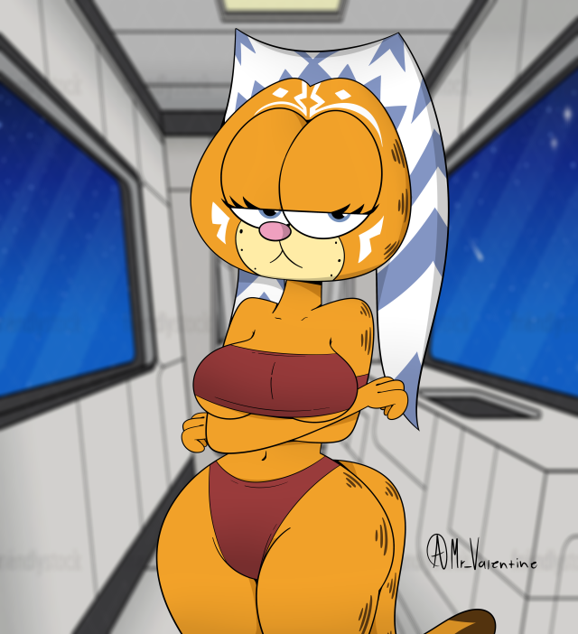 ahsoka tano,garfield the cat,sudoku (mad)